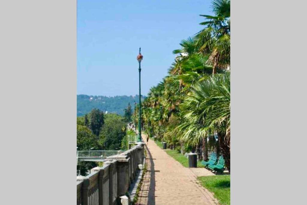 Tiny House Apartment Pau